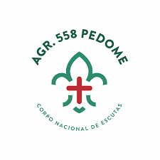 Festa da Francesinha - CNE Agrupamento 558 Pedome